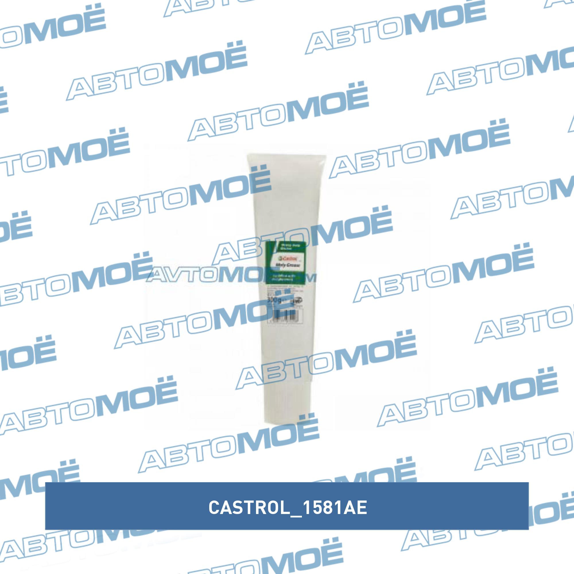 Смазка пластичная Castrol Moly Grease (300г) CASTROL 1581AE