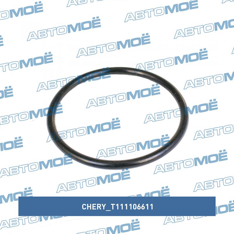 Кольцо уплотнительное насоса топливного CHERY T111106611
