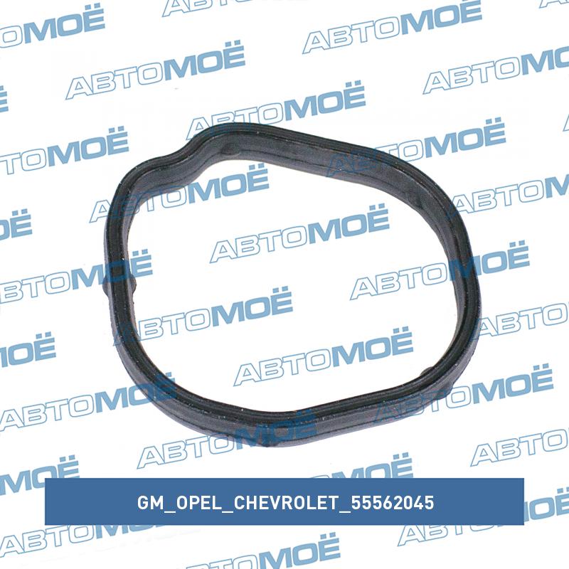 Кольцо уплотнительное корпуса термостата GM/OPEL/CHEVROLET 55562045