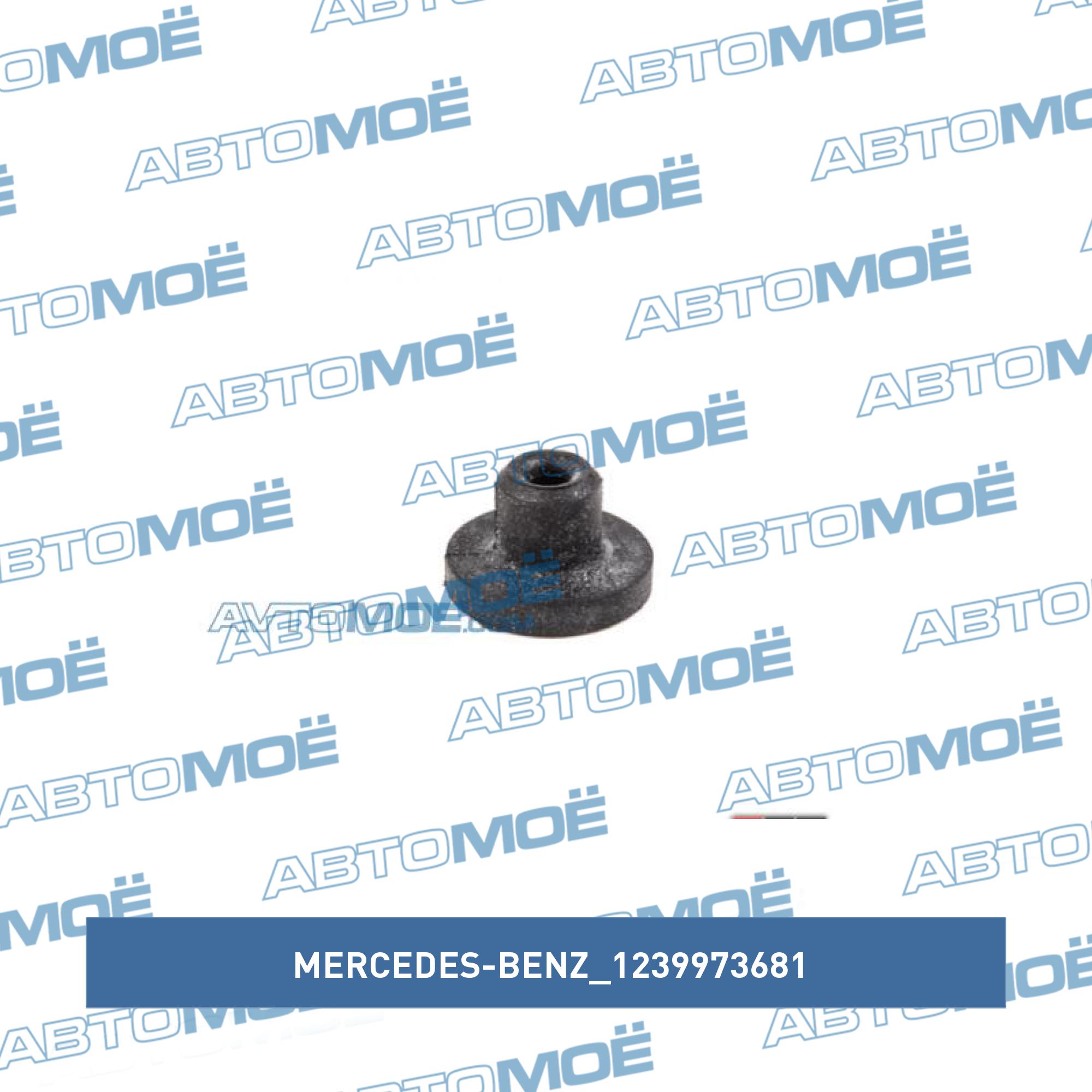 Прокладка мотора омывателя MERCEDES-BENZ 1239973681