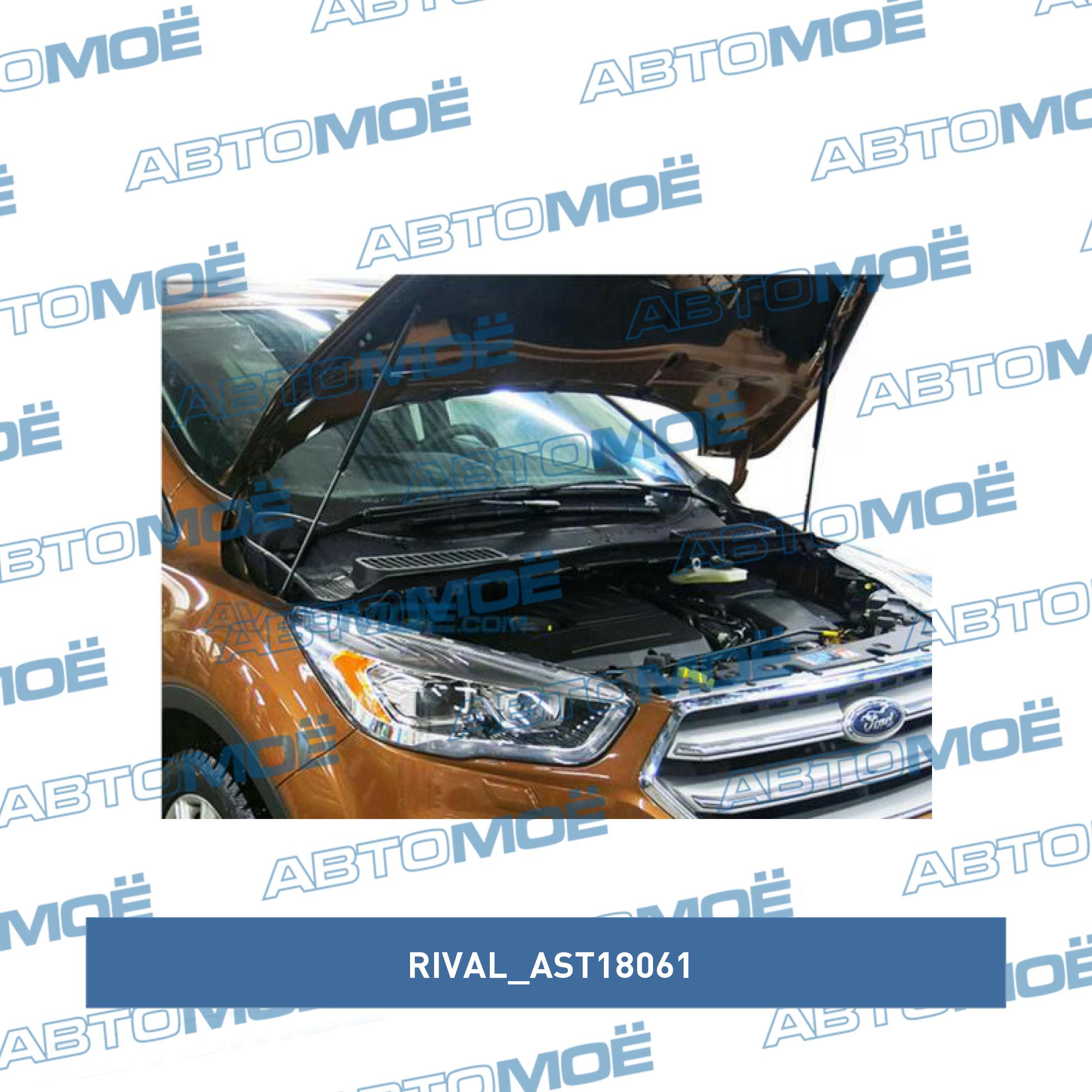 Амортизаторы капота Ford Kuga 2012- RIVAL AST18061