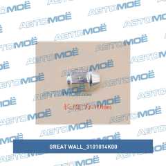 Фото товара Гайка колёсная Great Wall 3101014K00 для FORD