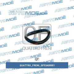 Фото товара Прокладка свечного колодца Quattro freni QF53A00001