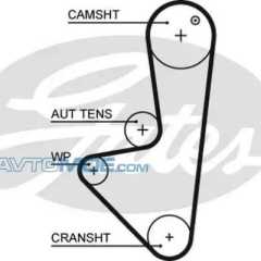Фото товара Ремень ГРМ Gates 5575XS